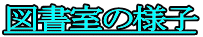 �}�����̗l�q
