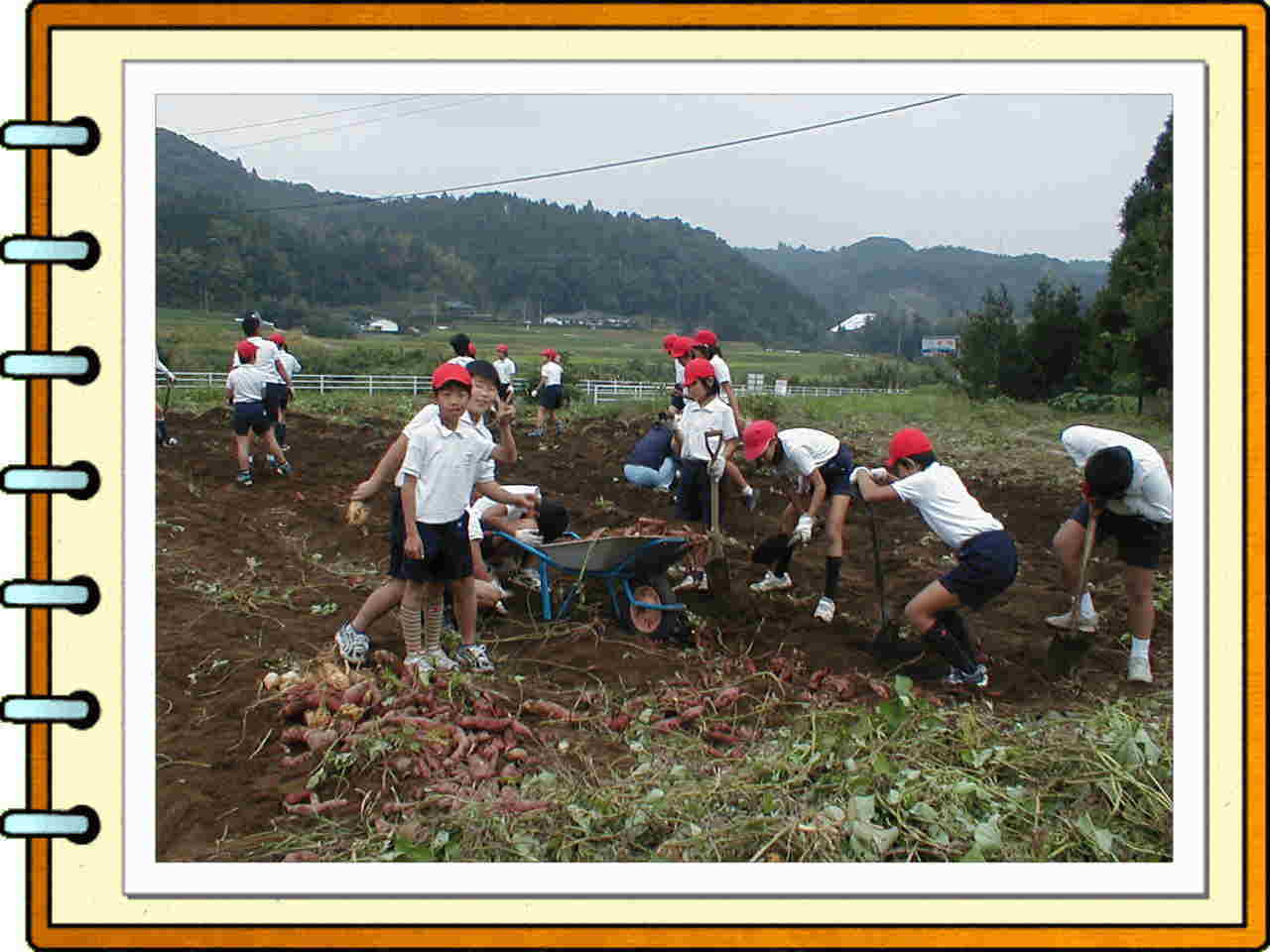 �t���[��