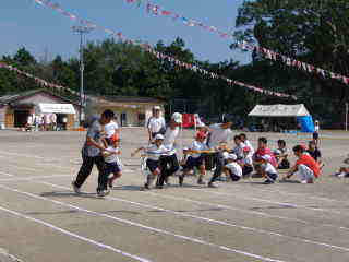 �t���[��