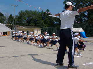 �t���[��