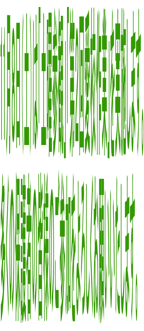 11Wiyj́uyjQρvuQ񈤍ZƁv{܂B